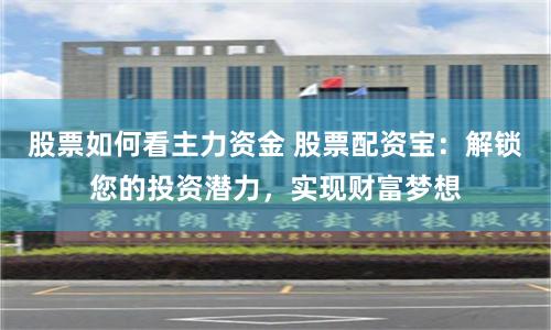股票如何看主力资金 股票配资宝：解锁您的投资潜力，实现财富梦想