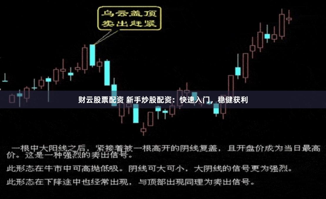 财云股票配资 新手炒股配资：快速入门，稳健获利