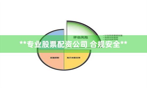 **专业股票配资公司 合规安全**